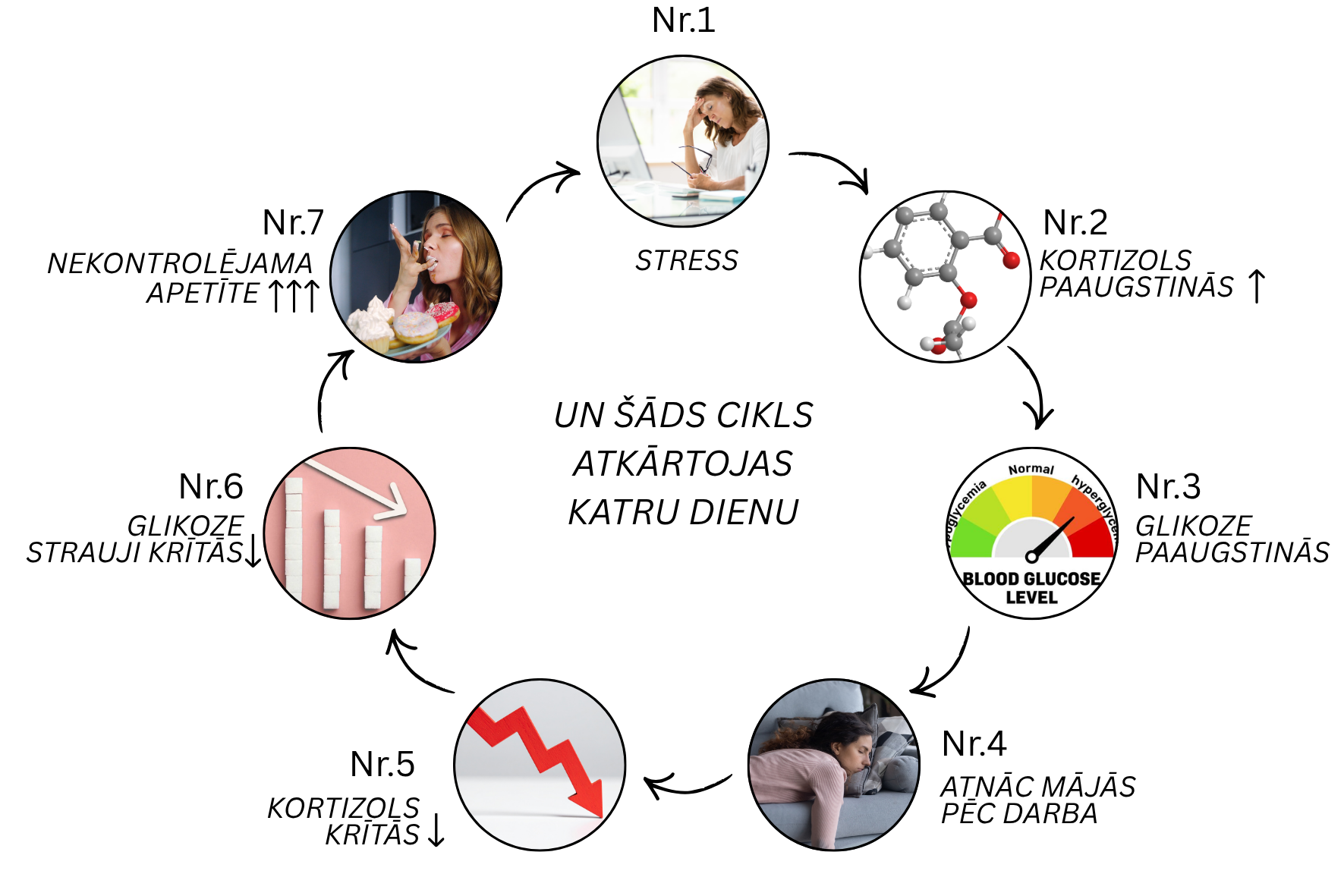 Stresa-Glikozes Cikla diagramma